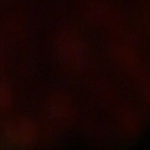 Meet your Posher, Radames